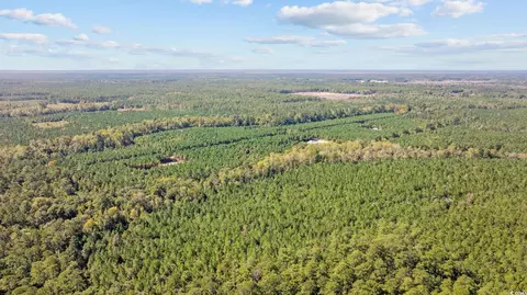 978 Harper Rd, Conway, SC 29527 photo 17