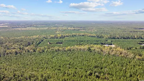 978 Harper Rd, Conway, SC 29527 photo 19