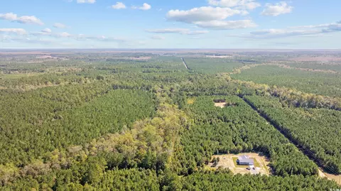 978 Harper Rd, Conway, SC 29527 photo 21