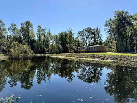 2463 Hanna Lake Rd, Johnsonville, SC 29555