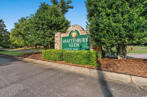207 Putney Ct, Conway, SC 29526 photo 35