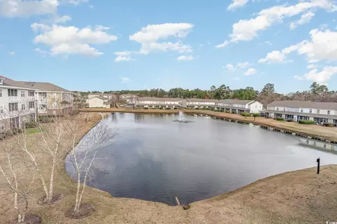 View/Area - 332 Kiskadee Loop #L, Conway, SC 29526 photo 1 of 5