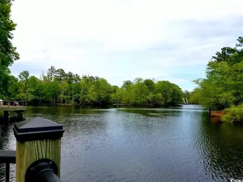 View/Area - 332 Kiskadee Loop #L, Conway, SC 29526 photo 3 of 5