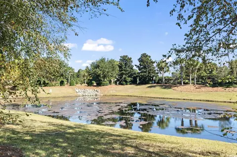 1664 Randor Ct, Myrtle Beach, SC 29579 photo 33
