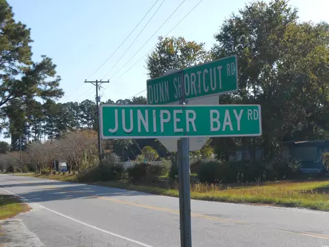 3880 Juniper Bay Rd, Conway, SC 29527 photo 4