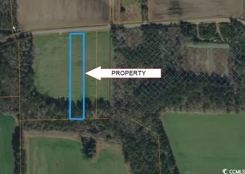 lot3 Tract B Oak Grove Church Rd, Nichols, SC 29581