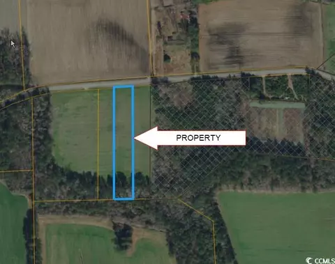 lot4 Tract B Oak Grove Church Rd, Nichols, SC 29581