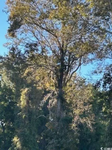 tbd Meher Ln, Little River, SC 29566