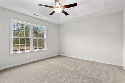 Other - 902 Owls Nest Dr, Conway, SC 29527 photo 4 of 13