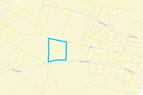 tbd X Old Forest Dr, Loris, SC 29569 photo 13