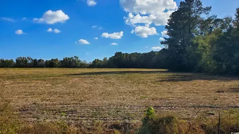 tbd 1 Highway 366, Conway, SC 29526