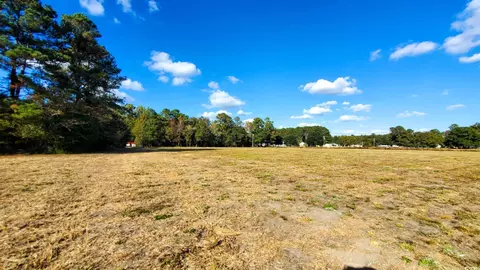 tbd 1 Highway 366, Conway, SC 29526 photo 3