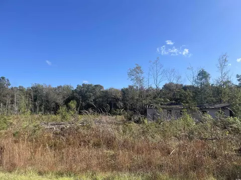 tbd Eva Loop, Salters, SC 29590 photo 2