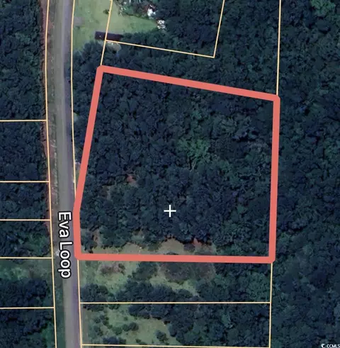 tbd Eva Loop, Salters, SC 29590 photo 4
