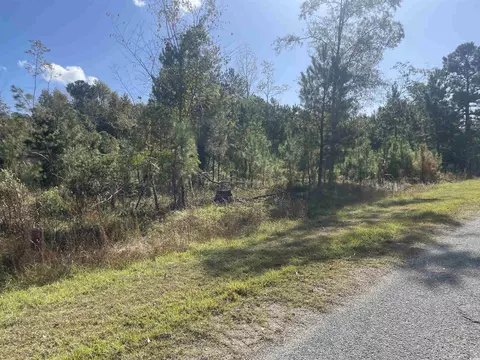 tbd Eva Loop, Salters, SC 29590 photo 3