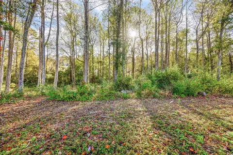 3390 Dusty Rd, Loris, SC 29569 photo 30