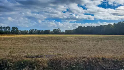 tbd 2 Highway 366, Conway, SC 29526