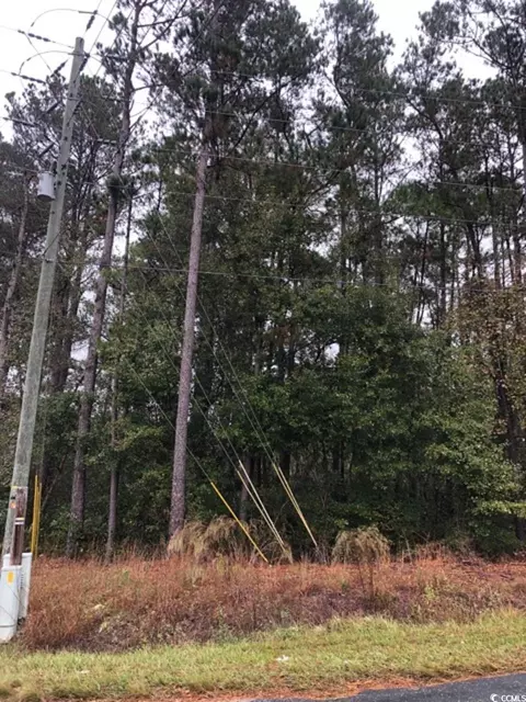 0 Coats Rd, Loris, SC 29569 photo 3