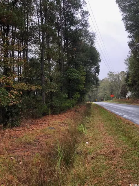 0 Coats Rd, Loris, SC 29569 photo 5