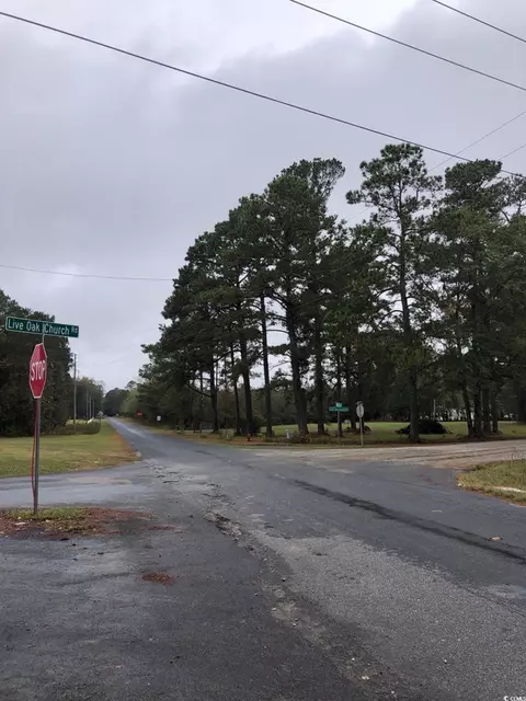 0 Coats Rd, Loris, SC 29569 photo 4