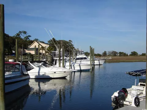387 Lifestyle Ct, Surfside Beach, SC 29575 photo 23