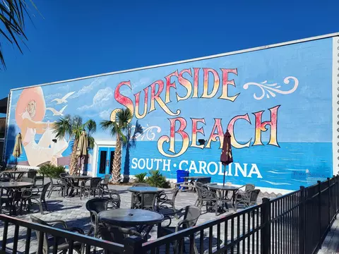 387 Lifestyle Ct, Surfside Beach, SC 29575 photo 19