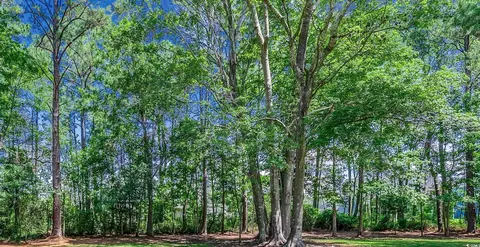 tbd Monaca Dr, Longs, SC 29568 photo 2
