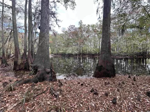 tbd Channel View Dr, Mullins, SC 29574 photo 14