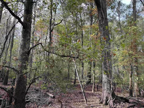 tbd Channel View Dr, Mullins, SC 29574 photo 20