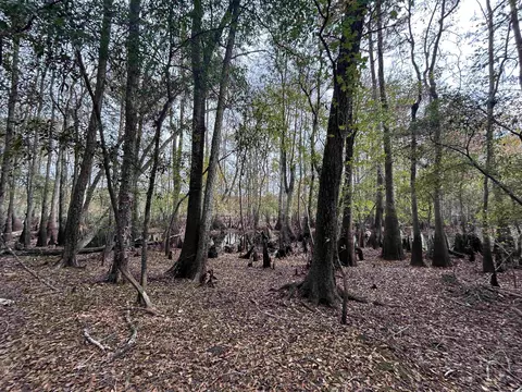 tbd Channel View Dr, Mullins, SC 29574 photo 15