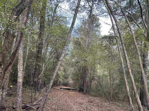 tbd Channel View Dr, Mullins, SC 29574 photo 18