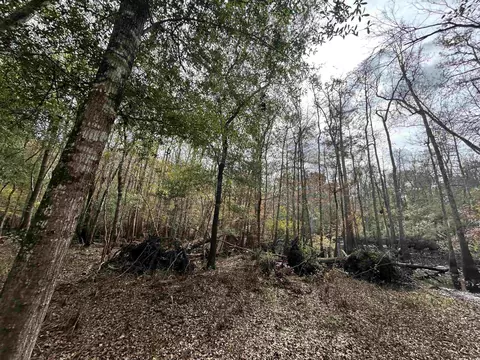 tbd Channel View Dr, Mullins, SC 29574 photo 16