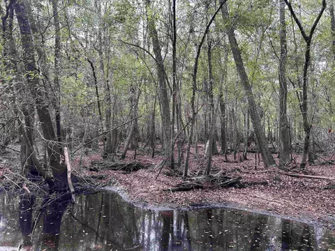 tbd Channel View Dr, Mullins, SC 29574 photo 19