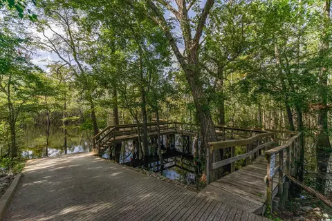 424 River Pine Dr, Conway, SC 29526 photo 27