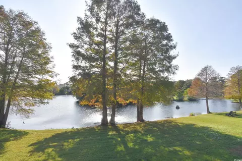 405 Grain Field Dr, Georgetown, SC 29440 photo 30