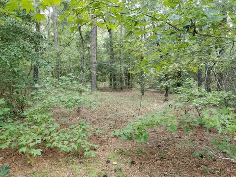 lot16 Lendrim Lake Dr, Conway, SC 29526