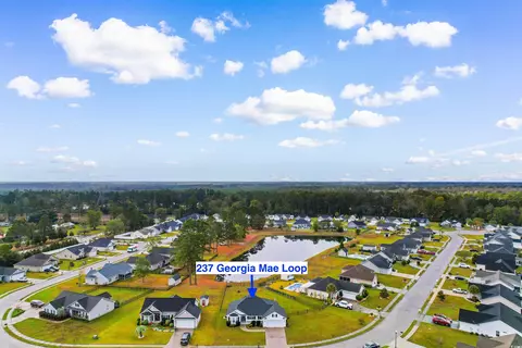 237 Georgia Mae Loop, Conway, SC 29527 photo 37