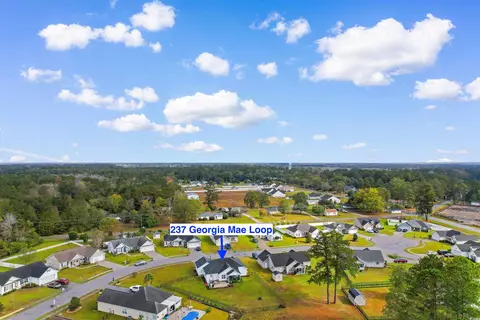 237 Georgia Mae Loop, Conway, SC 29527 photo 36