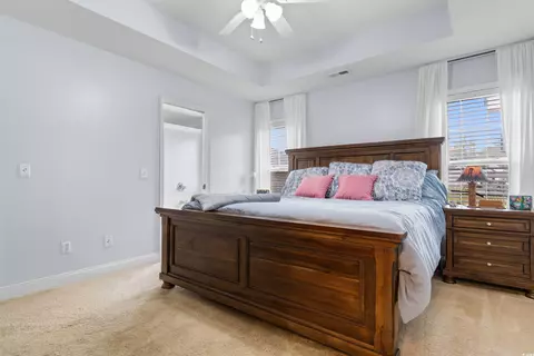 237 Georgia Mae Loop, Conway, SC 29527 photo 18