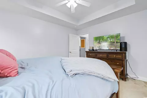237 Georgia Mae Loop, Conway, SC 29527 photo 17