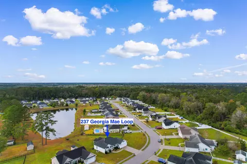 237 Georgia Mae Loop, Conway, SC 29527 photo 33