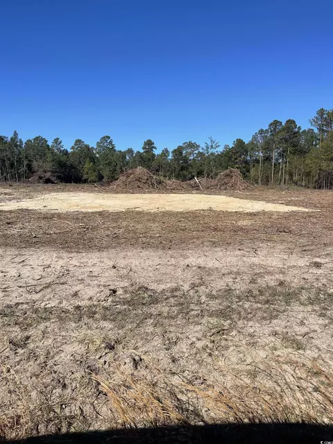 lot1 Highway 41, Marion, SC 29571