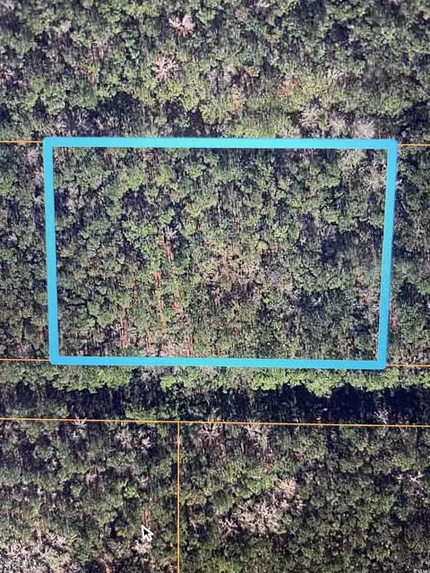 tbd Freewoods Rd, Myrtle Beach, SC 29588