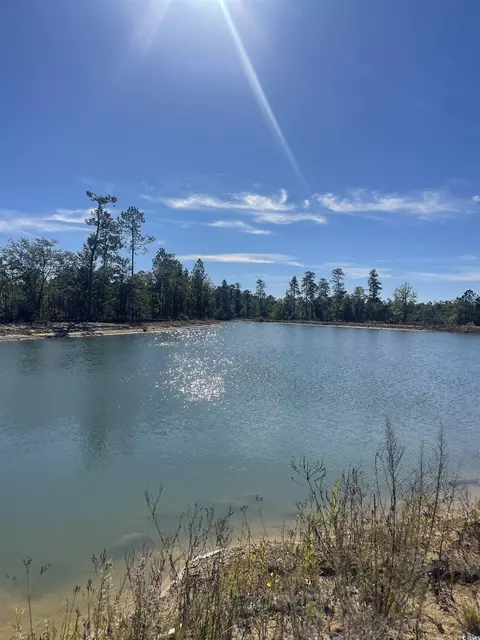 lot Z1 Hardwick Rd, Conway, SC 29526