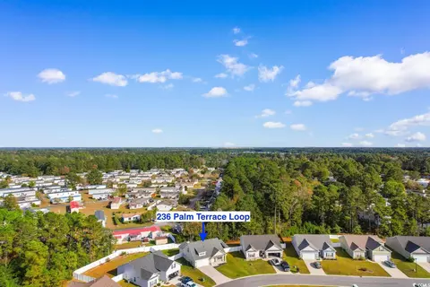 236 Palm Terrace Loop, Conway, SC 29526 photo 33