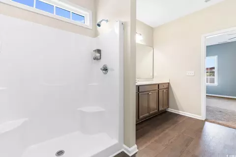 236 Palm Terrace Loop, Conway, SC 29526 photo 19