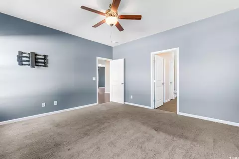 236 Palm Terrace Loop, Conway, SC 29526 photo 16