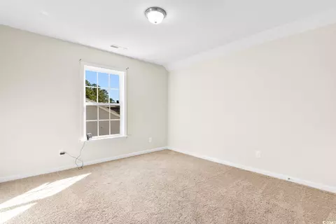 236 Palm Terrace Loop, Conway, SC 29526 photo 24