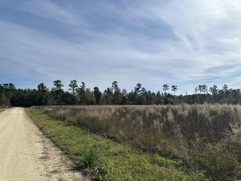 lot36 37 Gulley Ln, Salters, SC 29590