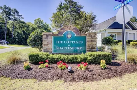 433 Shaft Pl, Conway, SC 29526 photo 37
